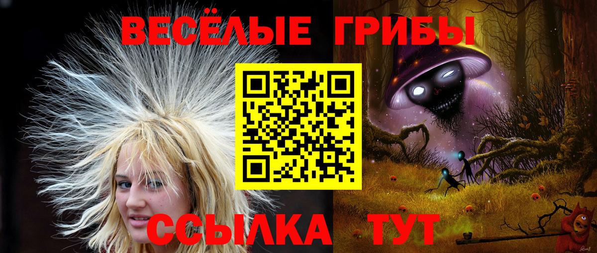 Псилоцибиновые грибы MAGIC MUSHROOMS  Вход с VPN  Галлюциногенные грибы Psilocybine cubensis  продажа наркотиков  Ялта 